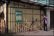IMG_6032.JPG