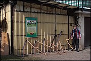 IMG_6033.JPG