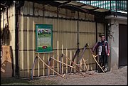 IMG_6034.JPG