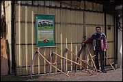 IMG_6037.JPG